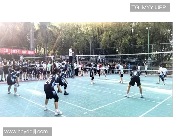 广州滑板队在精英赛中的团队协作展现与表现分析