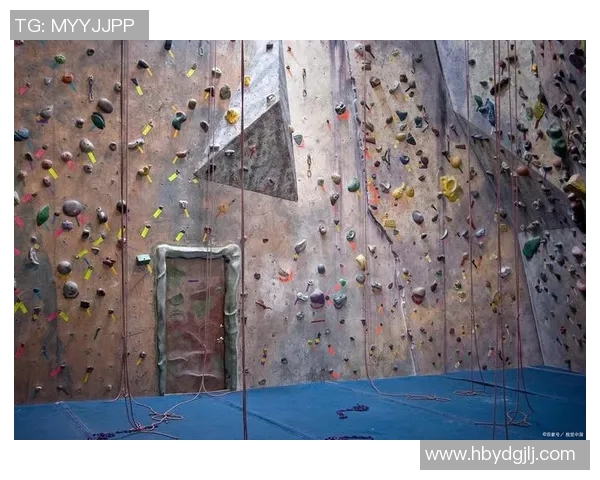 杭州攀岩队的节奏得失分析与未来发展展望